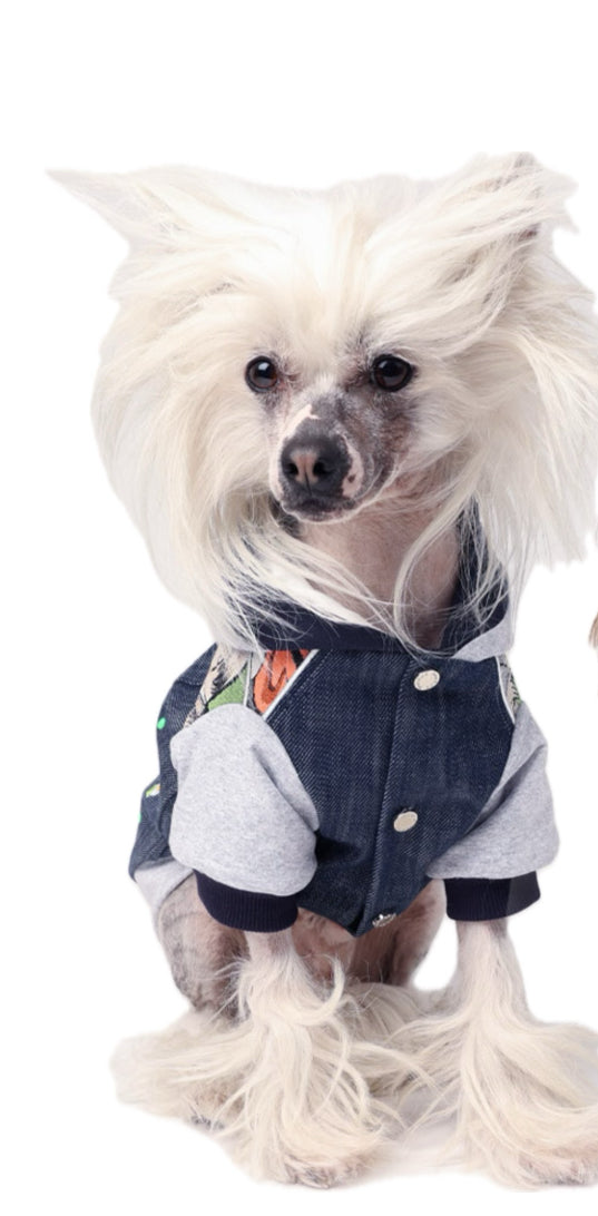 Giubbino jeans Diabolik blu