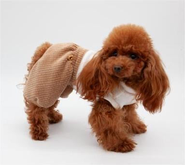 Jumpsuit Pants INTERRY Light Brown