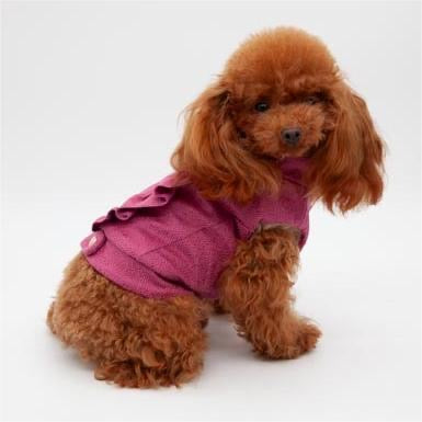 Jacket SOFTEDGE UNIQUE Fuxia