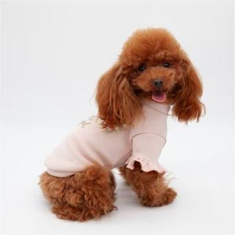 (Copia) T-shirt ANGEL WINGS Pink Gold