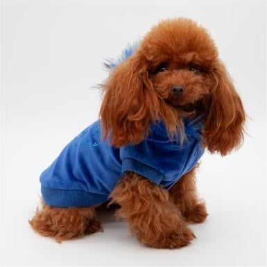 Coat VELVET TOUCH Blu