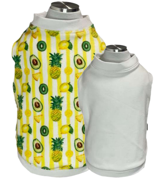 Salvador Reversibile