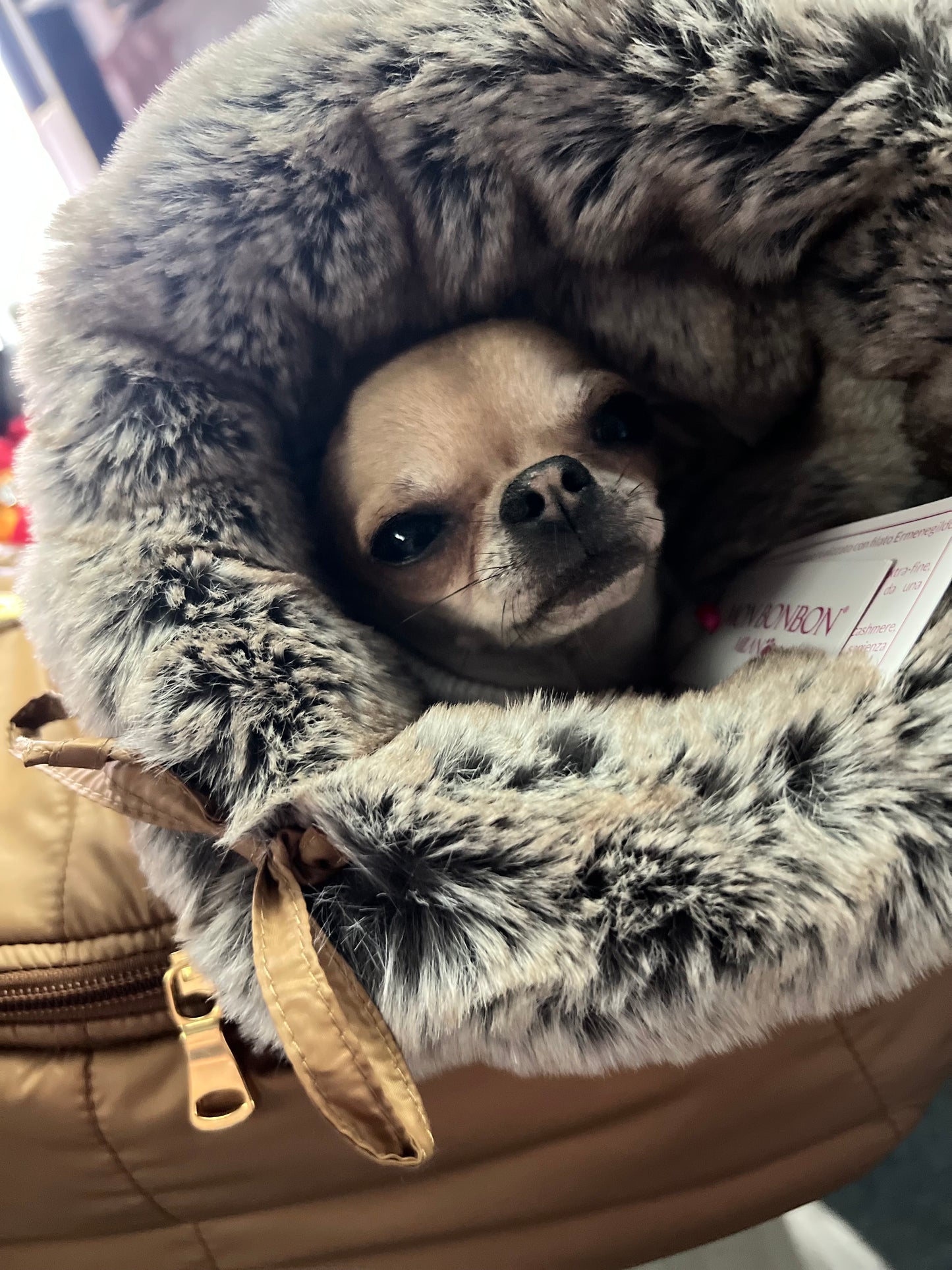 Desir Shoulderbag Tabacco