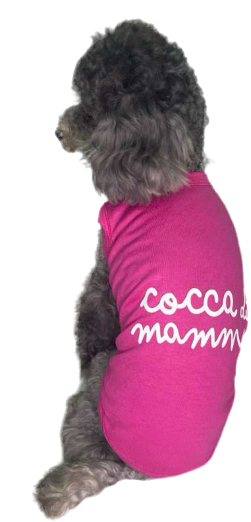 T-shirt Idoia Fucsia