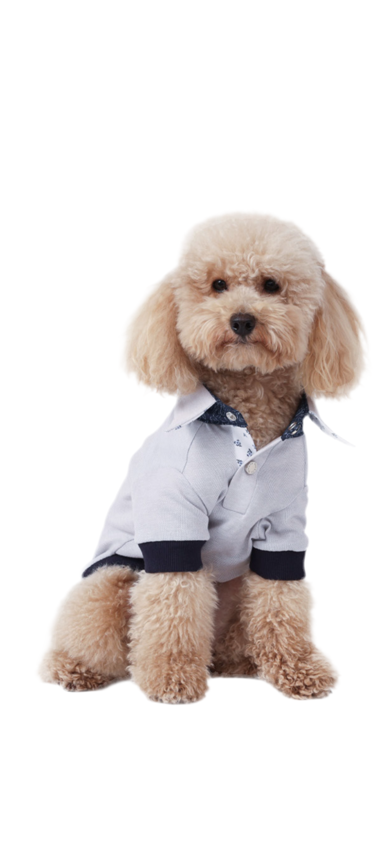 Polo Papavero