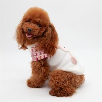 T-shirt DREAM TEDDY Pink