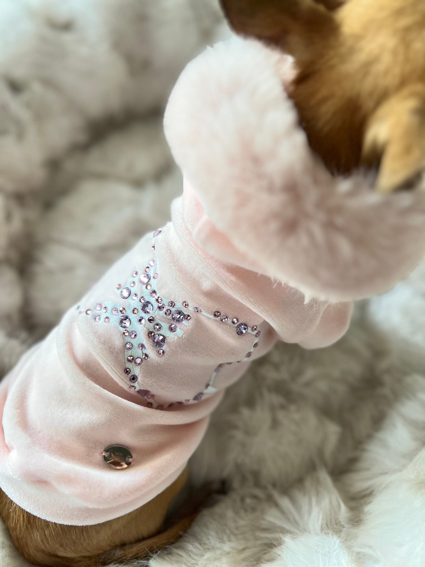 Souffle D’hiver Sweatshirt