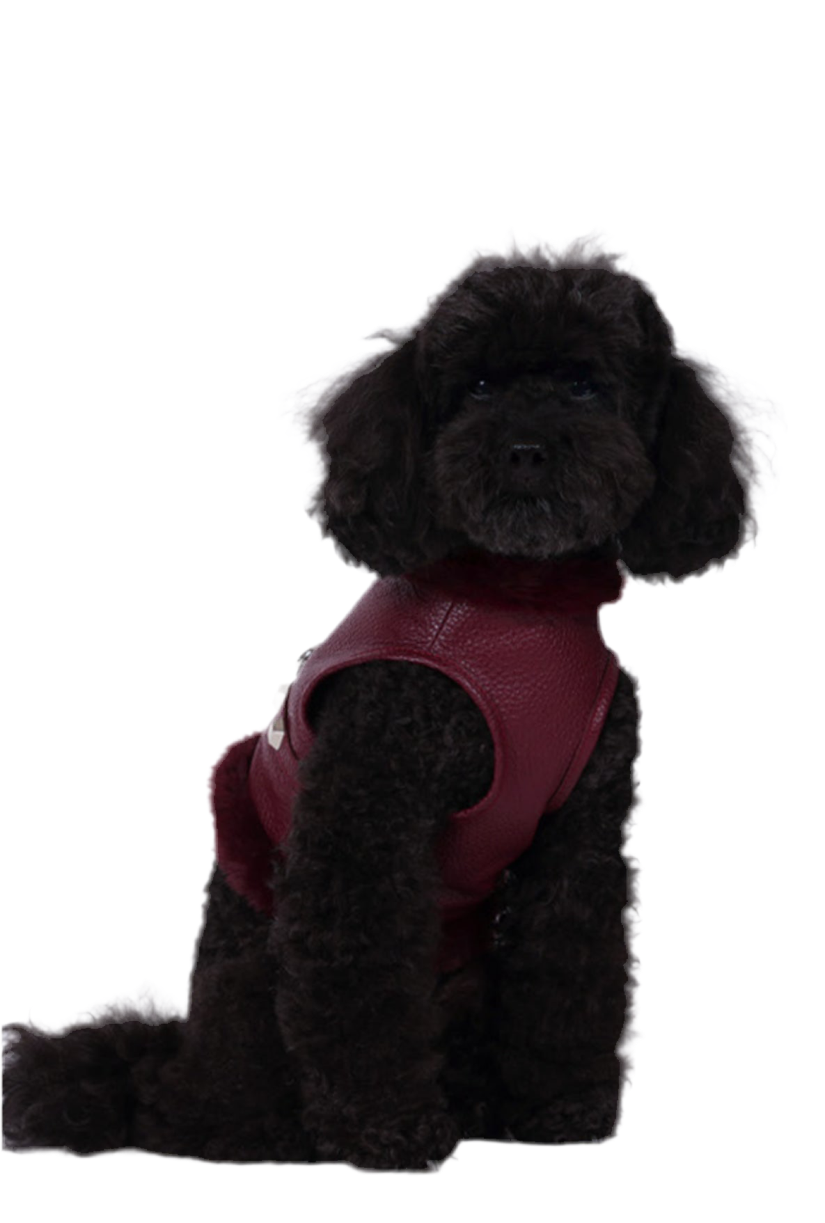 Pettorina Pelle ecofur  Borgogna