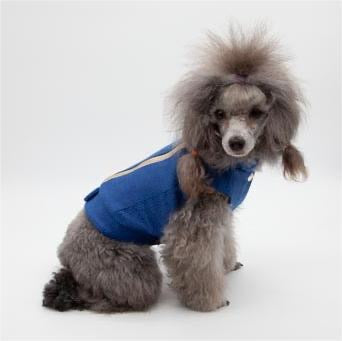 Jacket SOFTEDGE UNIQUE Blu