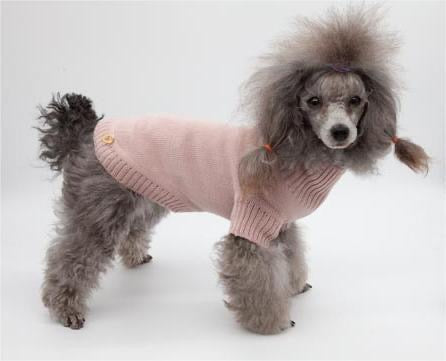 Tricot SPOTLIGHT Rose