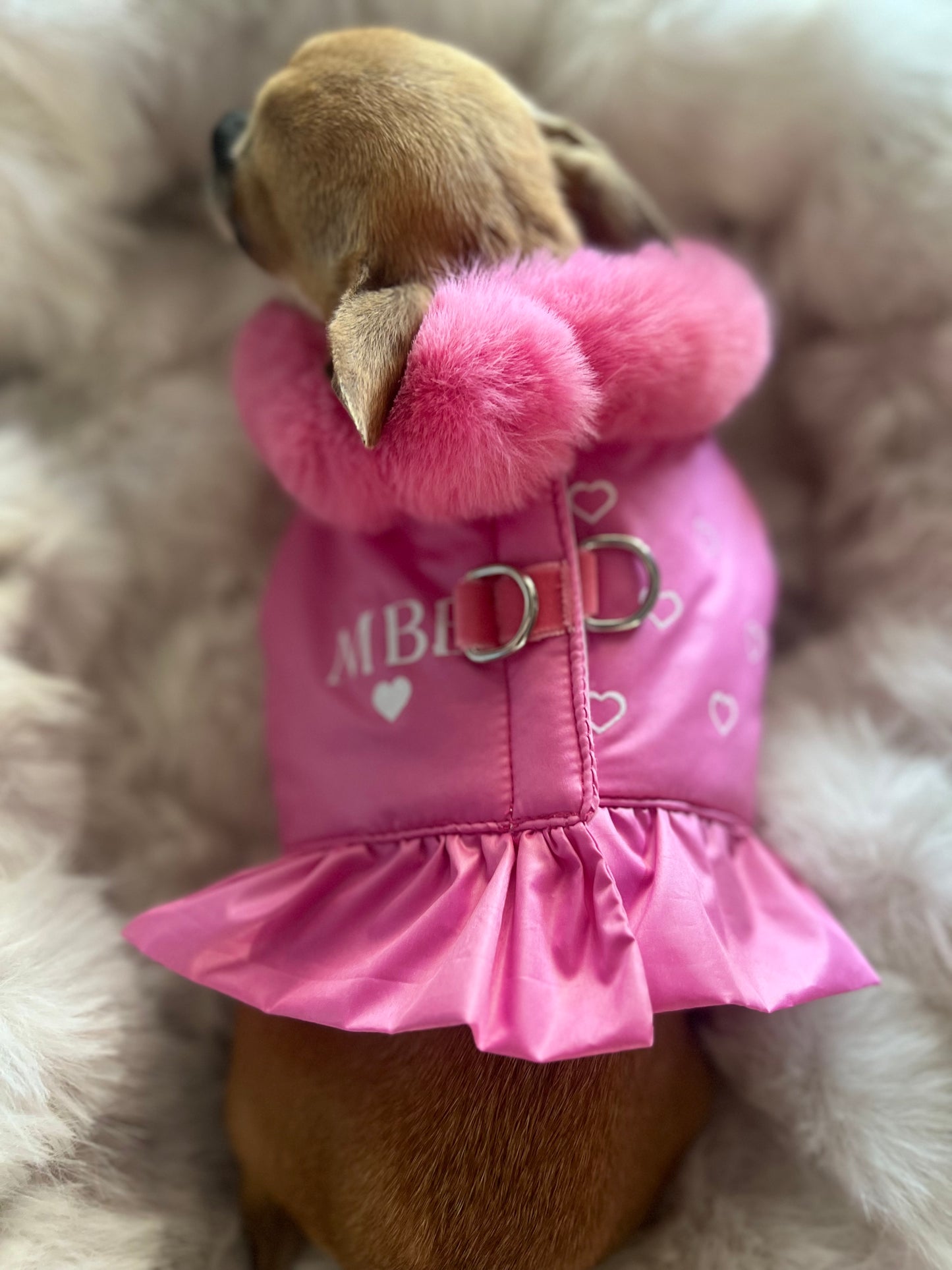 Special Désir Harness