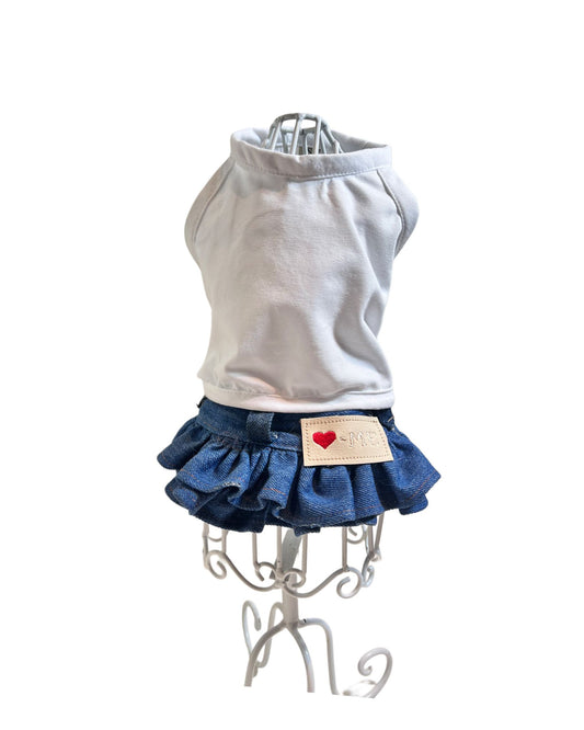 JBR Denim Skirt