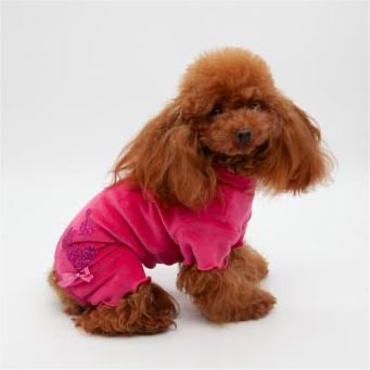 Slim Fit BORN TO SHINE Fuxia