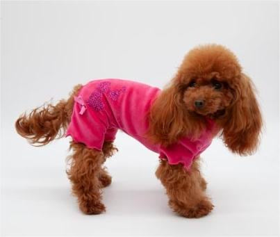 Slim Fit BORN TO SHINE Fuxia