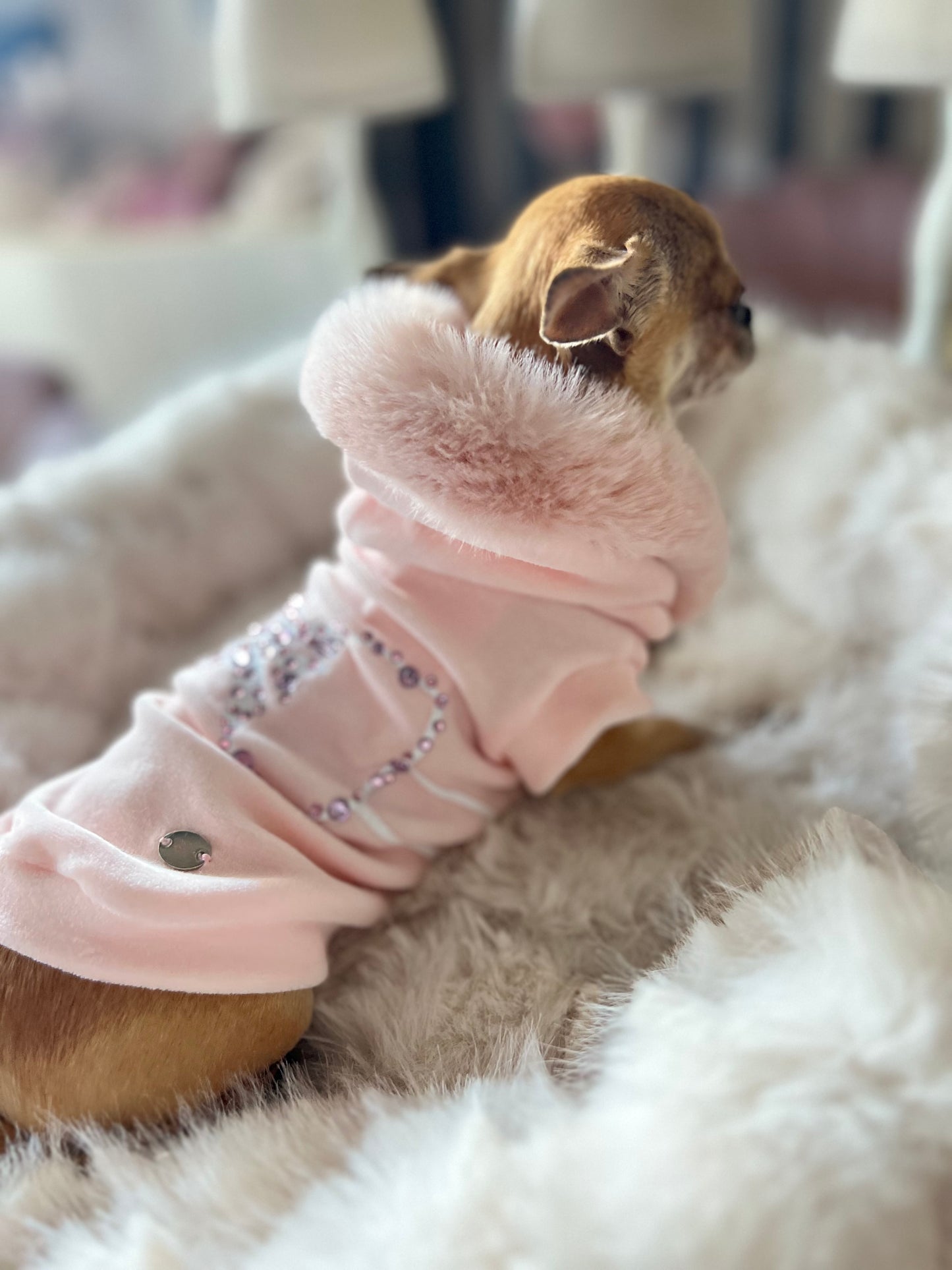 Souffle D’hiver Sweatshirt