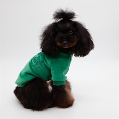 T-Shirt BORN TO SHINE Green