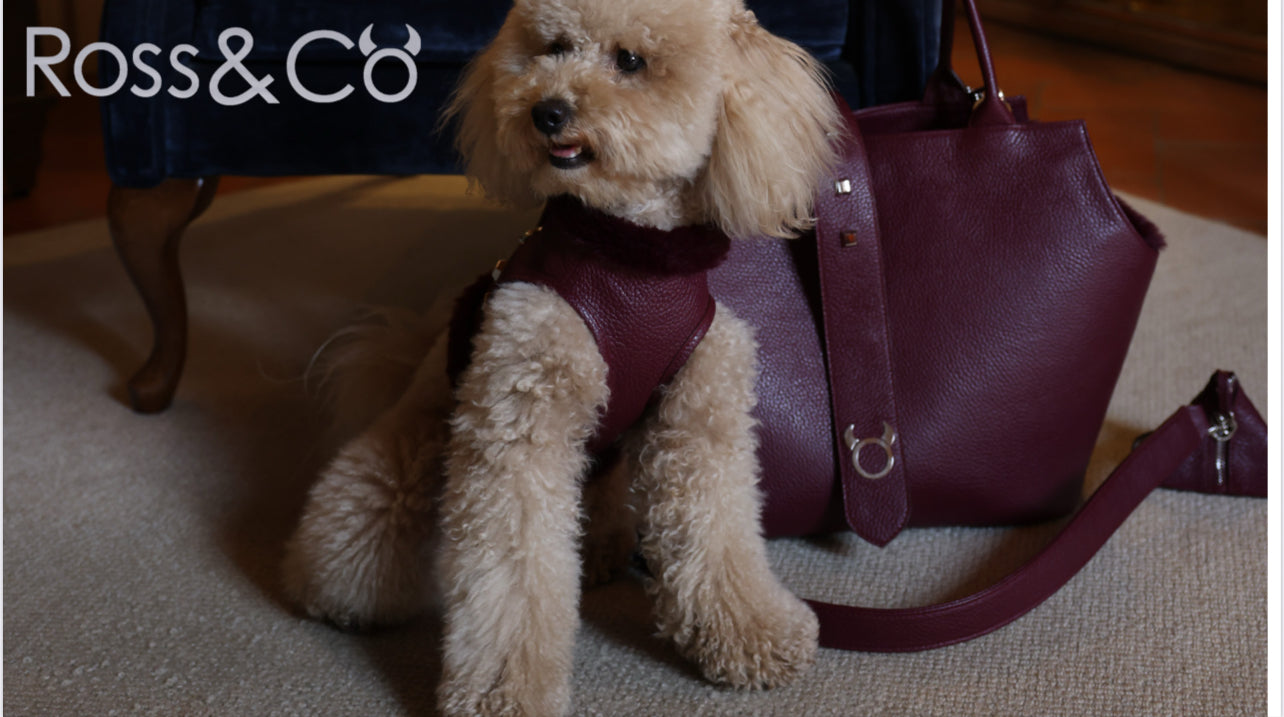 Pettorina Pelle ecofur  Borgogna