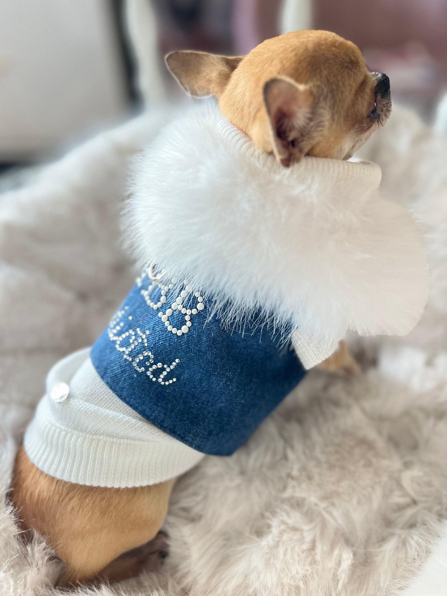 MBB Addicted Harness