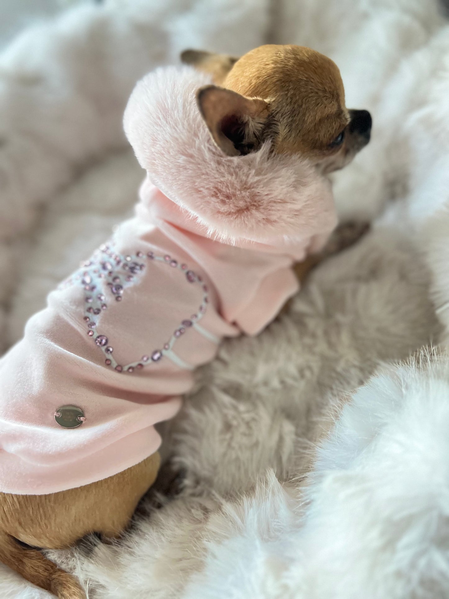 Souffle D’hiver Sweatshirt