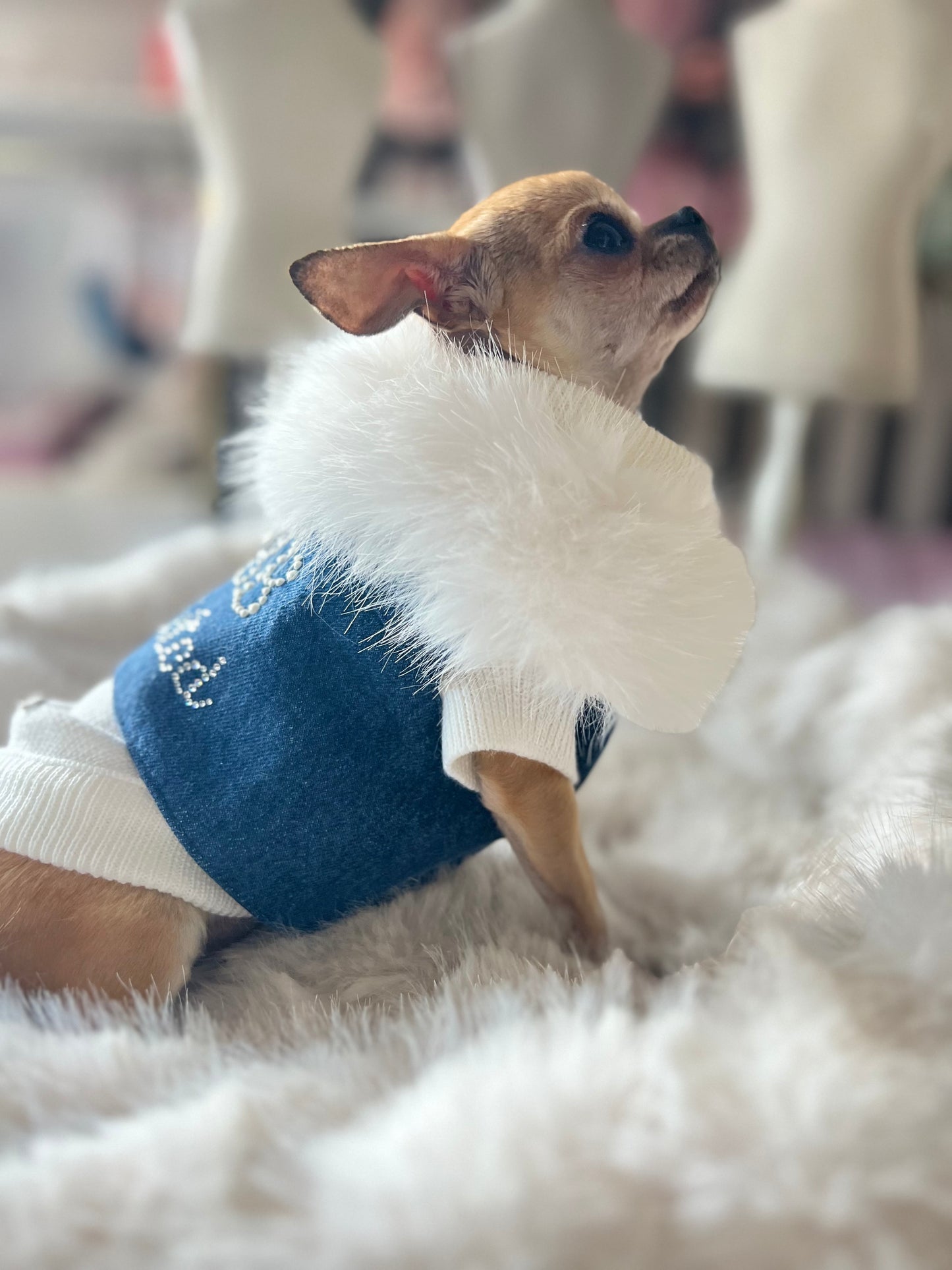 MBB Addicted Harness