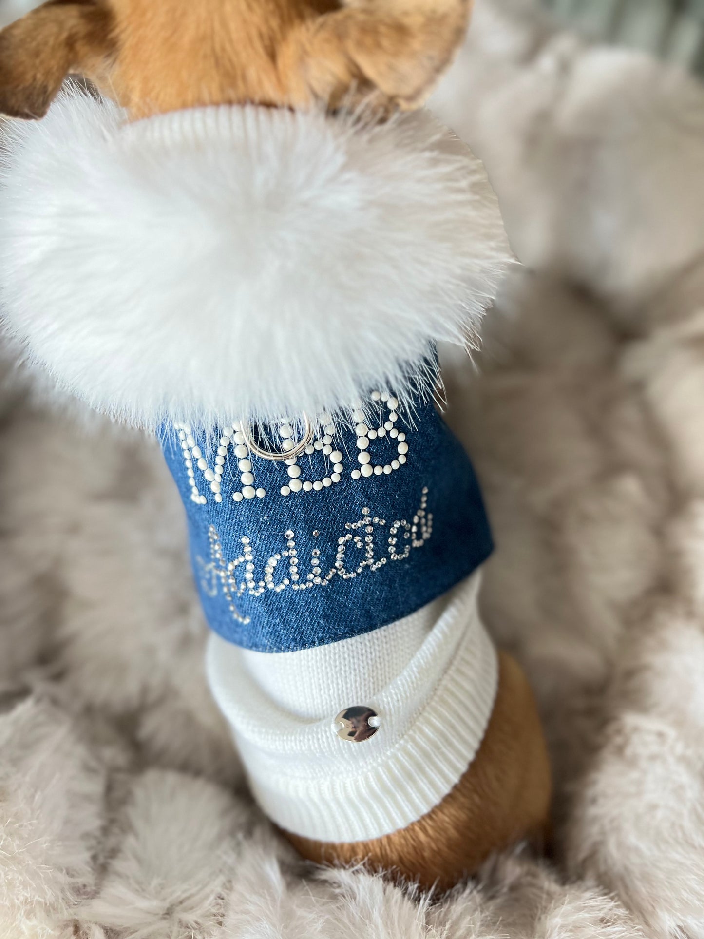 MBB Addicted Harness