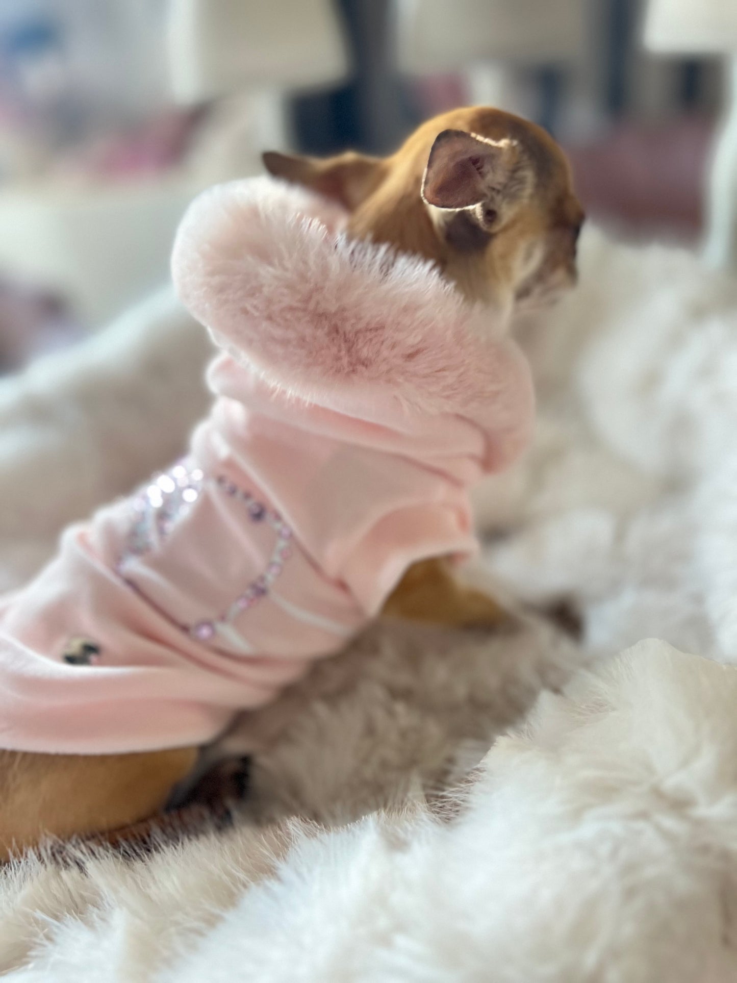 Souffle D’hiver Sweatshirt