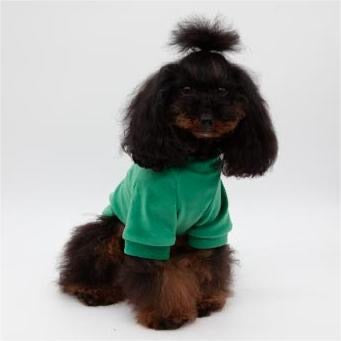 T-Shirt BORN TO SHINE Green