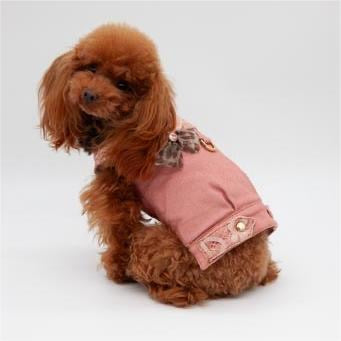 Jacket WILD CHIC Jeans Rose