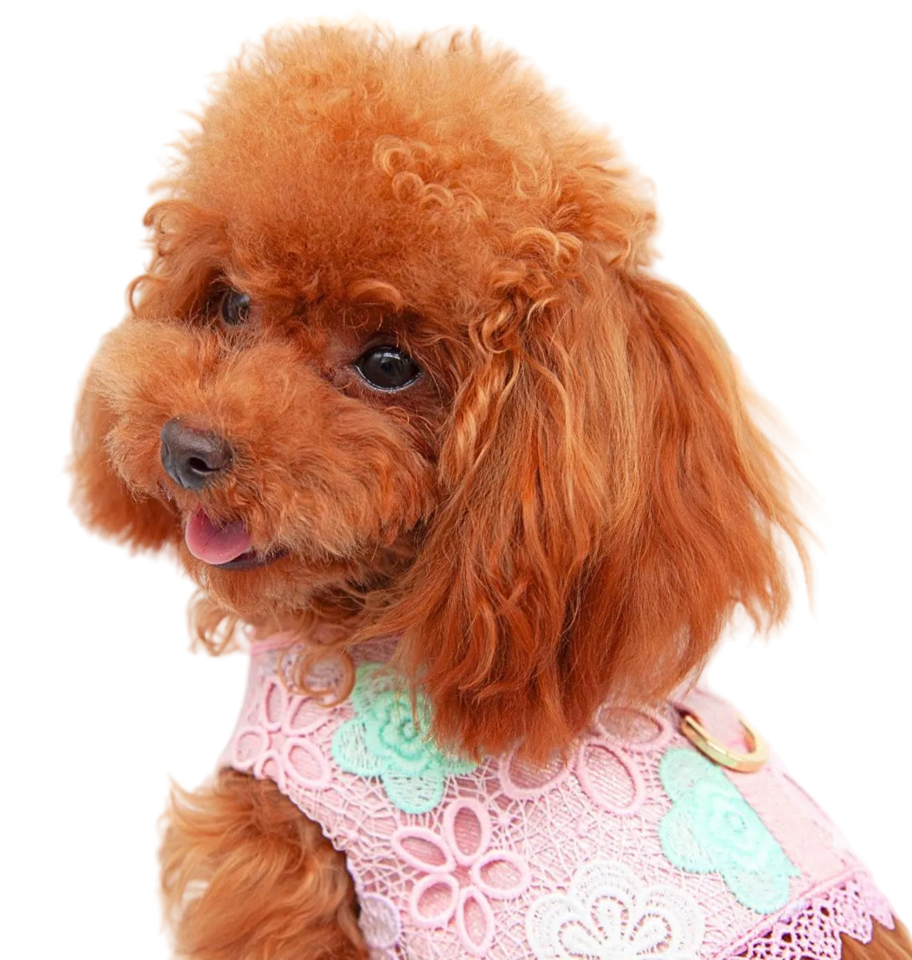 Bloomy Harness