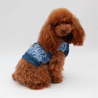 Fit Harness WILD CHIC Jeans Blu