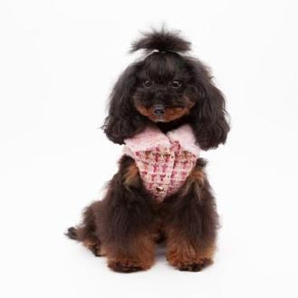 Coat COCO DARLING Pink