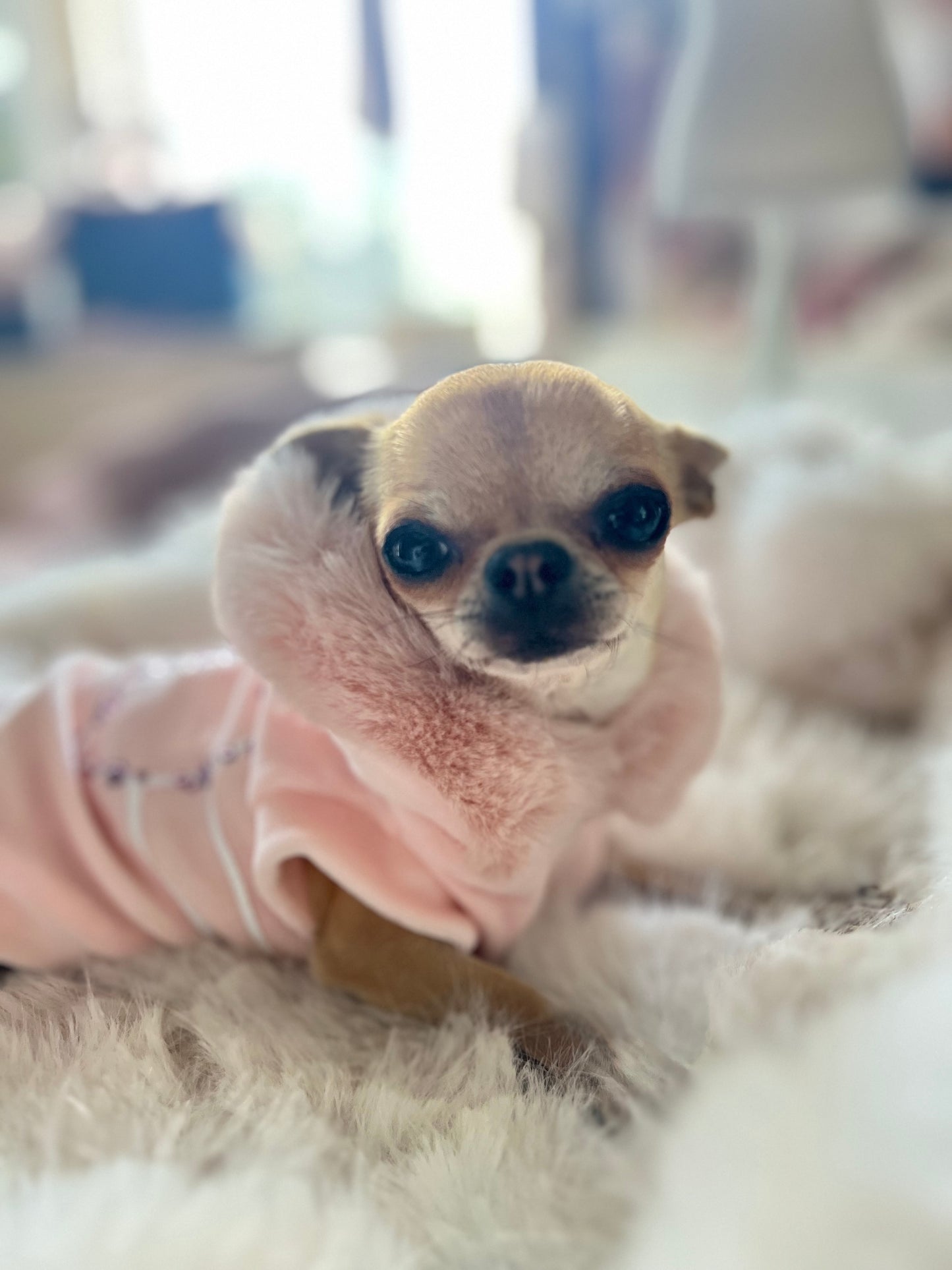 Souffle D’hiver Sweatshirt