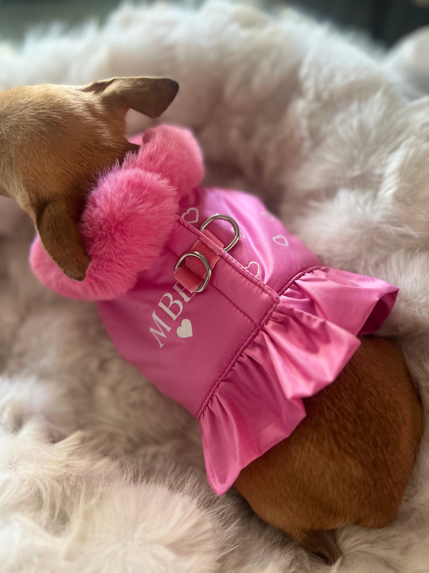 Special Désir Harness