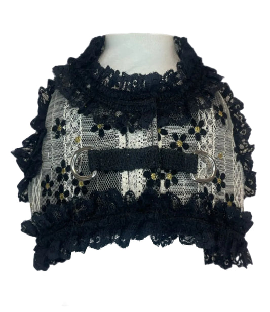 Linda Pettorina Lace