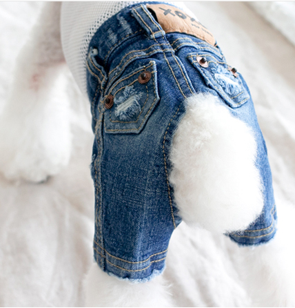 Pop Denim Pants